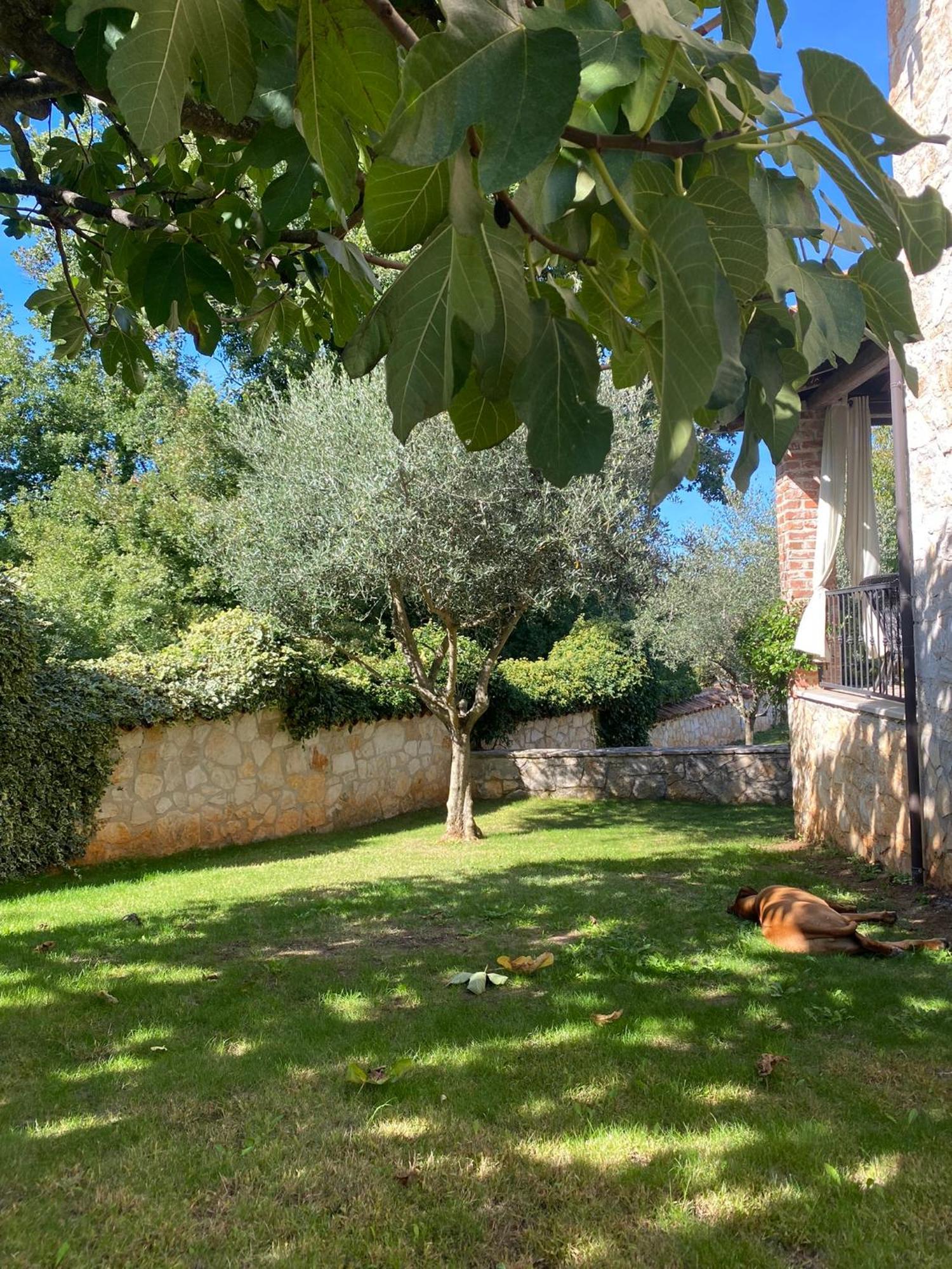 Villa Isabella - Ruheoase Poreč Kültér fotó
